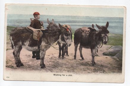 Donkey Waiting For A Job 1904  Postcard