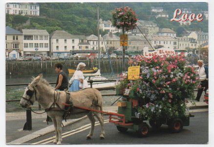 Looe Flower Donkey Jana Postcard