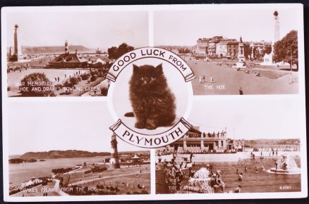 Plymouth Devon Postcard Lucky Black Cat Series Real Photo