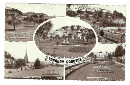 Torquay Gardens 1960's Vintage Postcard Real Photo Devon