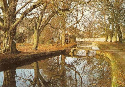 Lower Slaughter Postcard River Eye Glos.