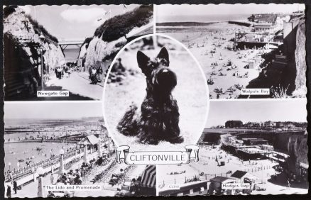 Cliftonville Hodges Gap Black Dog Postcard Kent