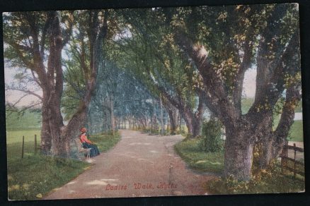 Hythe Ladies Walk Vintage Postcard Kent