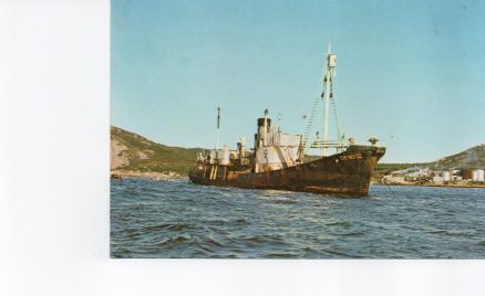 Ship Whalechaser At Whaling Station Postcard