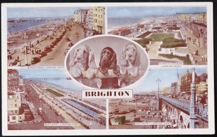 Brighton Postcard King's Road LOCAL PUBLISHER A.W.W. Brighton & Worthing