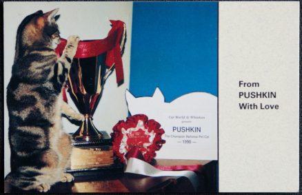 Pushkin The Champion National Pet Cat 1990