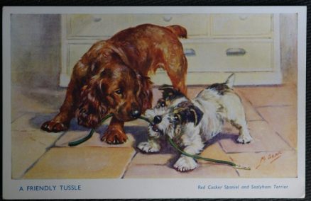 Red Cocker Spaniel Sealyham Terrier Postcard