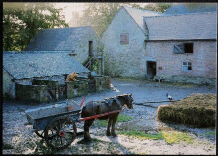 Pigsties Shropshire Acton Scott Working Fam Museum Postcard