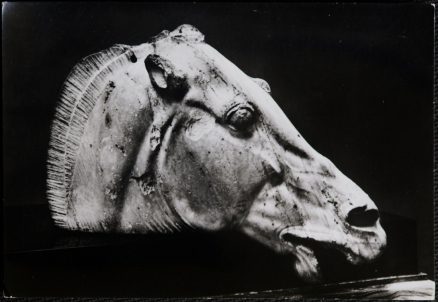 Horse Of Selene British Museum Postcard