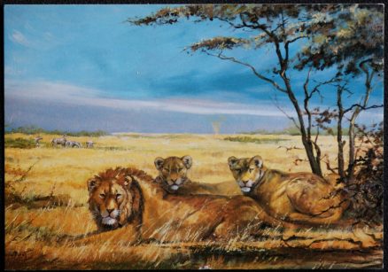 Lions At Rest Medici Society Postcard