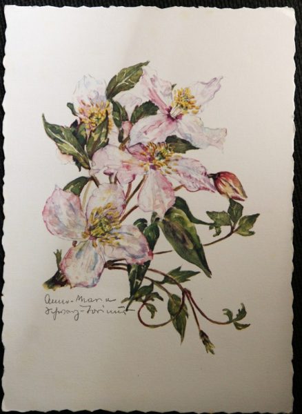 Clematis Deckle Edged Postcard