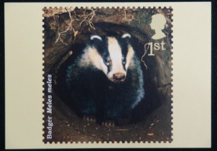 Badger Artist Kate Stephens Royal Mail Stamp 2004 Postcard