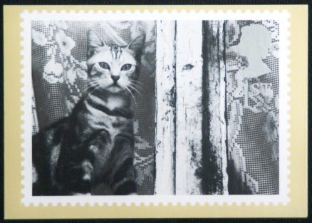 George Stubbs Cat Royal Mail Postcard 1991