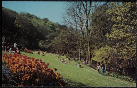 Saltburn Postcard Italian Gardens