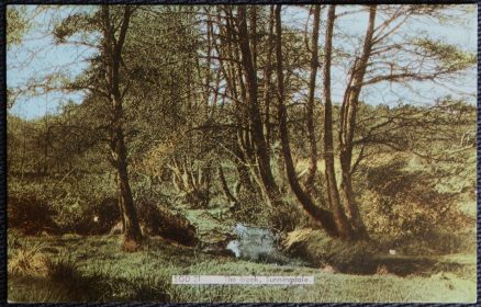 Sunningdale Berkshire Postcard The Brook