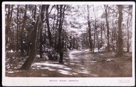 Amersham Postcard Rectory Woods