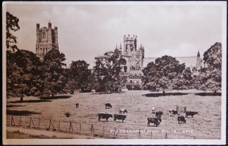 Ely Cathedral Postcard Southside Vintage LOCAL WISBECH PUBLISHER