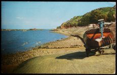 Mumbles Postcard Wales Beach & Promenade
