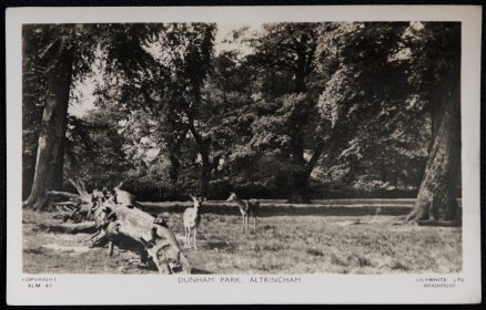 Altrincham Cheshire Postcard Dunham Park Vintage 1958 Real Photo