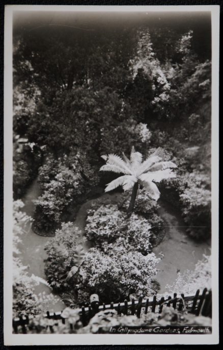 Falmouth Gyllngdune Gardens Real Photo