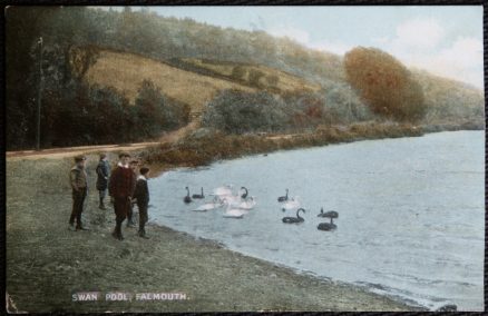 Falmouth Swan Pool Vintage 1918 Postcard