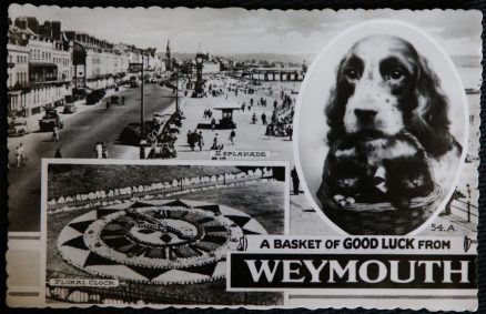 Weymouth Postcard Real Photo Good Luck Dog LOCAL PUBLISHER