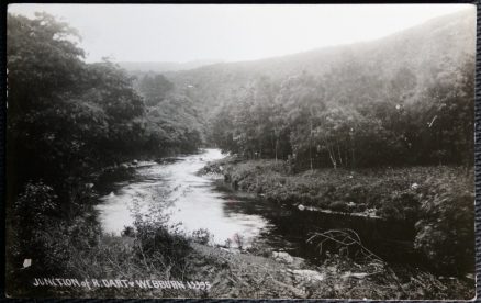 Webburn River Dart Devon Postcard