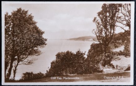 Maidencombe Devon Postcard Cliff Top Real Photo