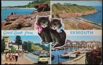 Exmouth Postcard Orcombe Sandy Bay Lucky Black Cat Series Collector