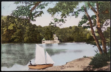 Sharpham Devon Postcard River Dart Vintage 1904