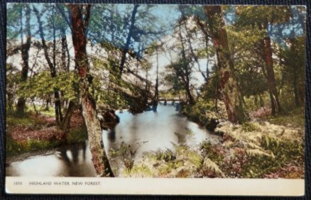 New Forest Highland Water Vintage Postcard