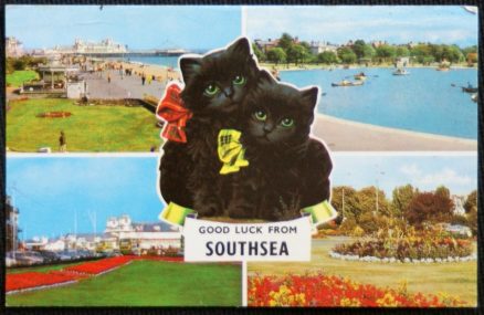 Southsea Black Cat Vintage Postcard