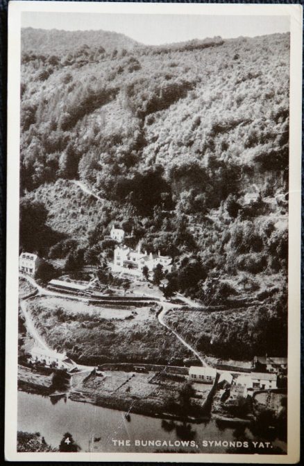 Symonds Yat Postcard Real Photo The Bungalows