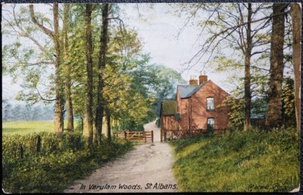 St. Albans Verulam Woods Postcard Vintage 1916