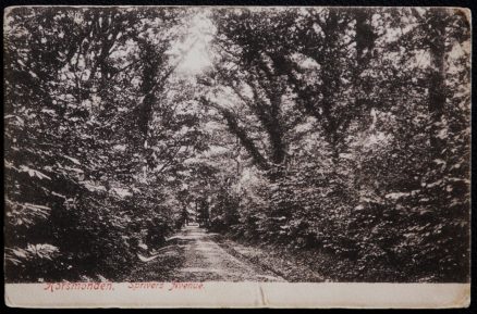 Horsemonden Sprivers Avenue 1904 Postcard