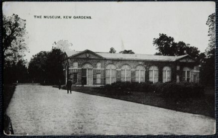 Kew Gardens Postcard Vintage View Of The Museum