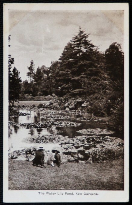 Kew Gardens Postcard Water Lily Pond Collectable Publisher