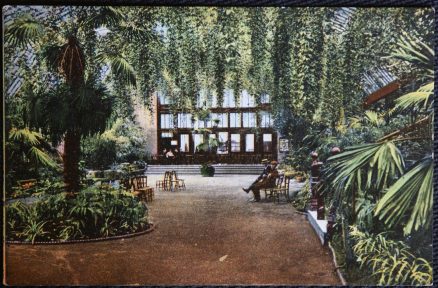 Kew Postcard Vintage  Collectable Publisher