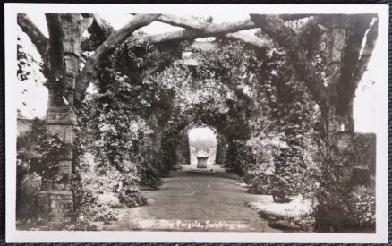 Sandringham Norfolk Postcard The Pergola Real Photo