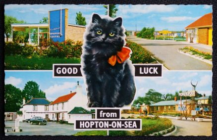 Hopton On Sea Postcard Constitutional Shopping Seafields Ponderosa 1971