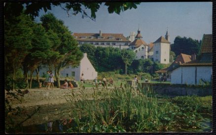 Caldey Island Postcard Lily Pool