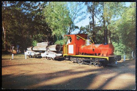 Train Postcard Kate Log Hauler