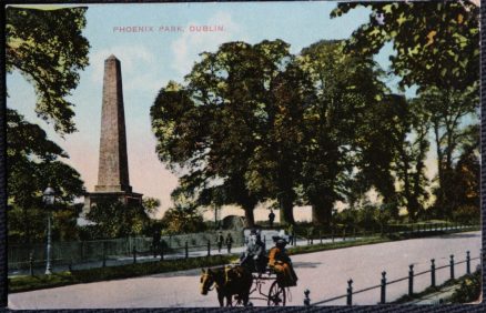 Dublin Phoenix Park Vintage Postcard