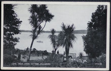 Killarney Dinas Cottage Lake Postcard