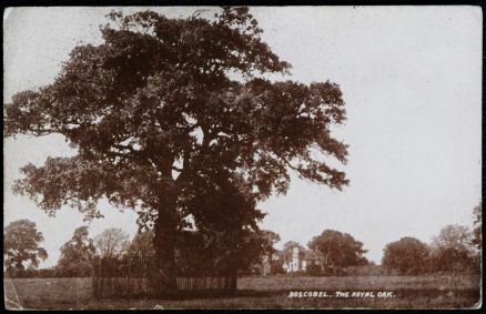 Boscobel Postcard The Royal Oak Staffs