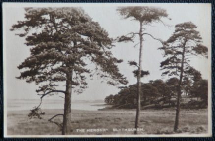 Blythburgh Suffolk Postcard The Heronry Sepia Tone