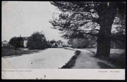 Horsham Sussex Postcard Vintage 1904