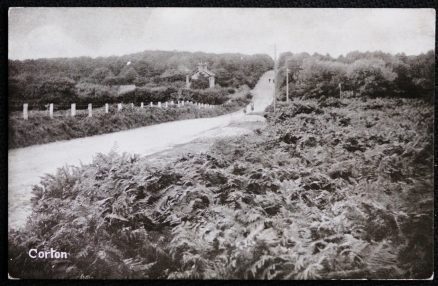 Corton Postcard Real Photo Vintage