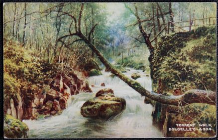 Dolgelley Walk Artist Brian Gerald Postcard