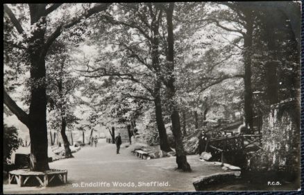 Sheffield Postcard Endcliffe Woods Real Photo 1929